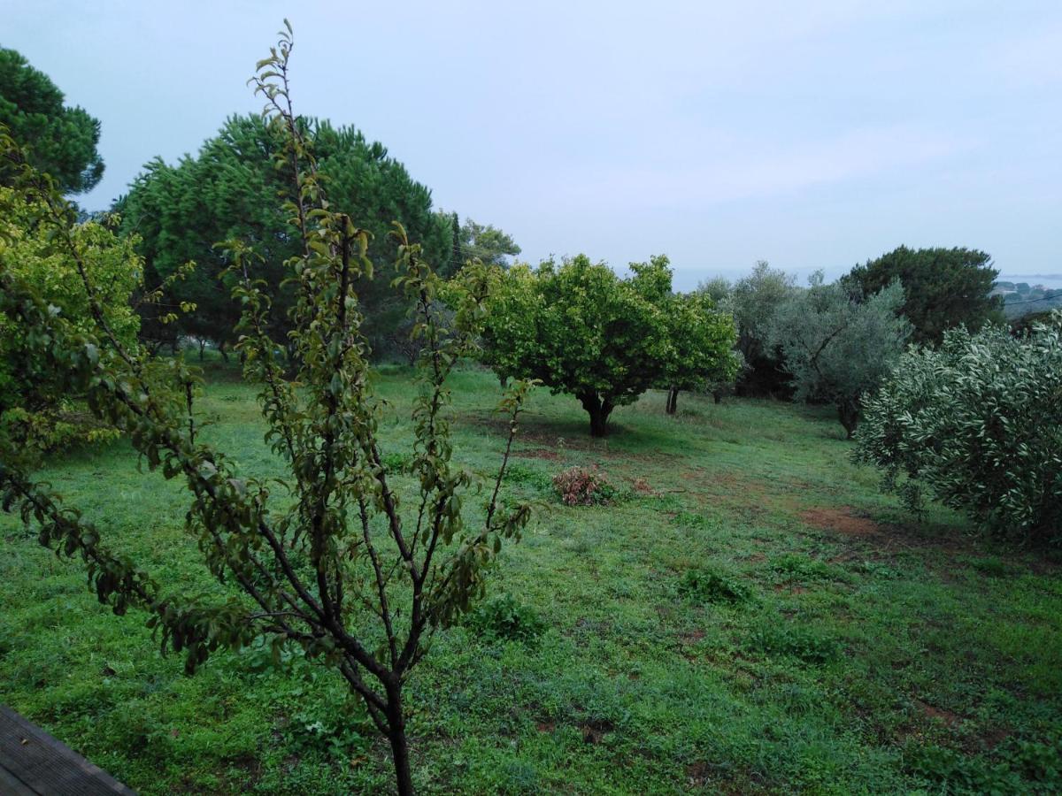 Villa Aliki Petrochori  Bagian luar foto