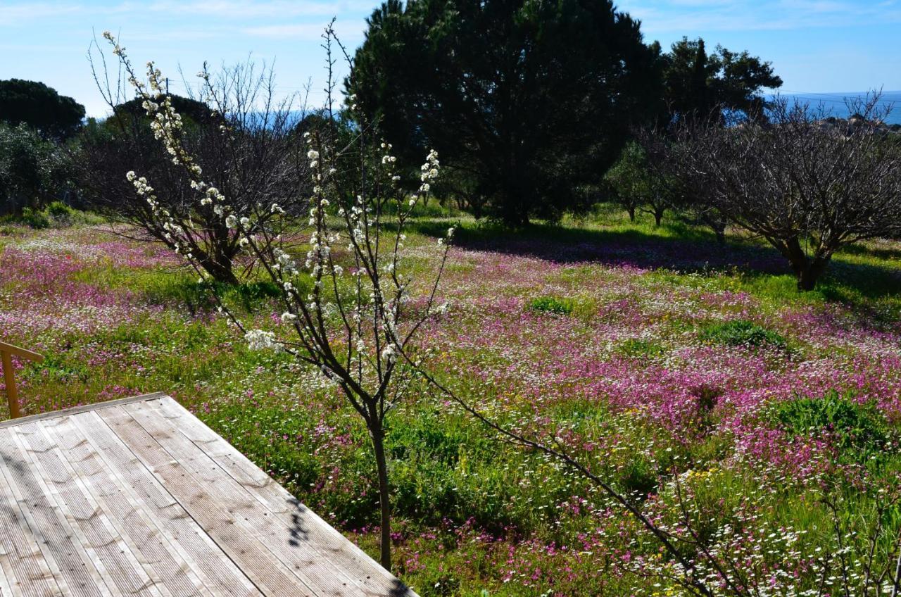 Villa Aliki Petrochori  Bagian luar foto