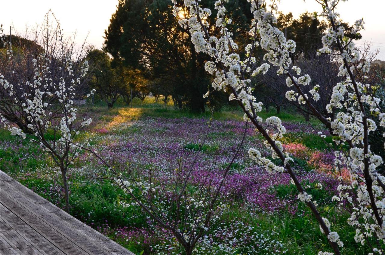 Villa Aliki Petrochori  Bagian luar foto